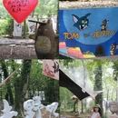常熟博物馆 - 苏州市旅游 缩略图 2