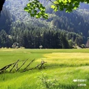 九寨沟景区 - 阿坝藏族羌族自治州旅游 缩略图 9