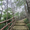 安徽天堂寨风景区 - 六安市旅游 缩略图 5