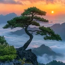 黄山风景区 - 黄山市旅游 缩略图 1