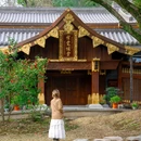 九山公园 - 温州市旅游 缩略图 4