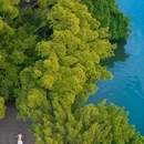 九山公园 - 温州市旅游 缩略图 6