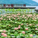 杭州湘湖景区 - 杭州市旅游 缩略图 4