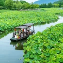 杭州湘湖景区 - 杭州市旅游 缩略图 3