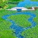 杭州湘湖景区 - 杭州市旅游 缩略图 2