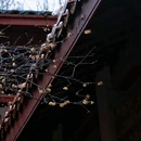 法喜讲寺 - 杭州市旅游 缩略图 6