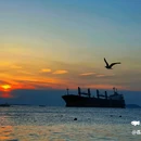 威海公园 - 威海市旅游 缩略图 5
