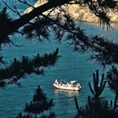 威海公园 - 威海市旅游 缩略图 4