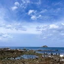 威海公园 - 威海市旅游 缩略图 9