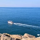 威海公园 - 威海市旅游 缩略图 8