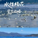 三色云河泸沽湖店 - 丽江市旅游 缩略图 1