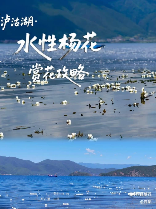 三色云河泸沽湖店 - 丽江市旅游