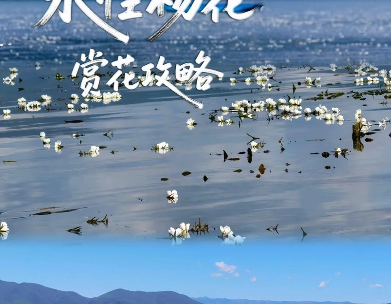 三色云河泸沽湖店 - 丽江市旅游 1