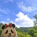 卧龙中华大熊猫苑神树坪基地 - 阿坝藏族羌族自治州旅游 缩略图 3