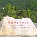 卧龙中华大熊猫苑神树坪基地 - 阿坝藏族羌族自治州旅游 缩略图 7