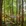 成都市·铂金·城商业广场