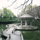 中山公园 - 佛山市旅游 缩略图 5