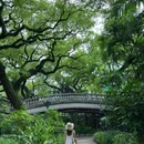 中山公园 - 佛山市旅游 缩略图 1