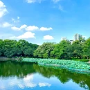 中山公园 - 佛山市旅游 缩略图 9