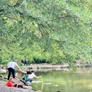 中山公园 - 佛山市旅游 缩略图 7