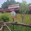 云南野生动物园 - 昆明市旅游 缩略图 5