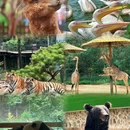 云南野生动物园 - 昆明市旅游 缩略图 9