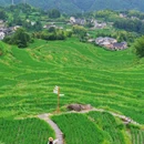 云和梯田景区 - 丽水市旅游 缩略图 3