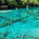 九寨沟景区 - 阿坝藏族羌族自治州旅游 缩略图 1