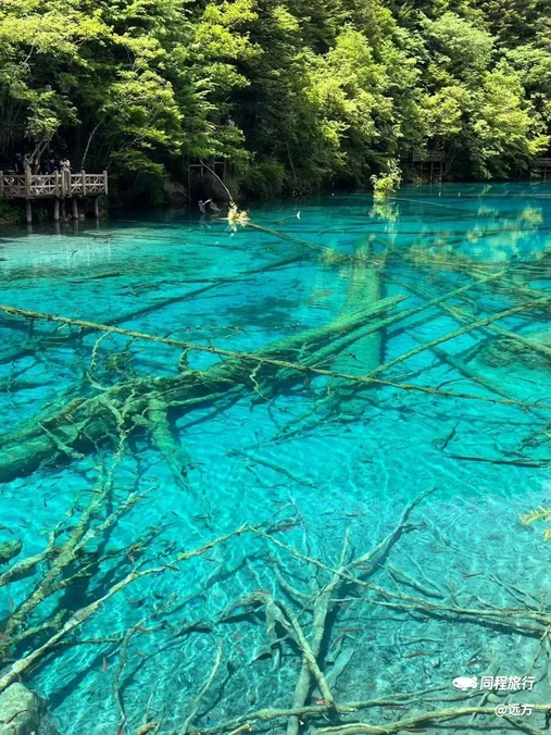 九寨沟景区 - 阿坝藏族羌族自治州旅游