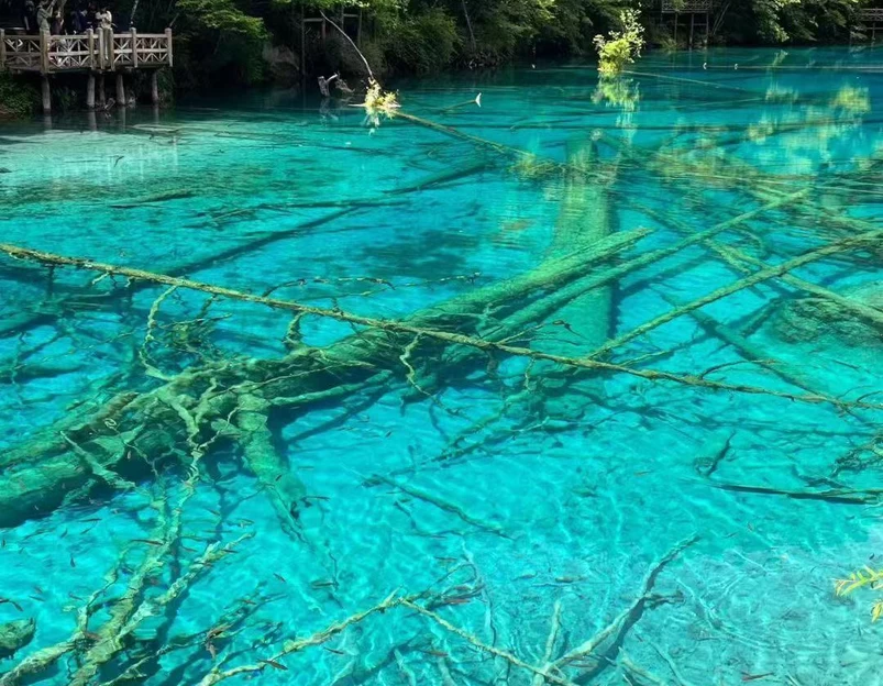 九寨沟景区 - 阿坝藏族羌族自治州旅游 1
