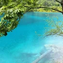九寨沟景区 - 阿坝藏族羌族自治州旅游 缩略图 4