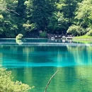 九寨沟景区 - 阿坝藏族羌族自治州旅游 缩略图 2