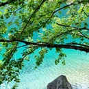 九寨沟景区 - 阿坝藏族羌族自治州旅游 缩略图 5