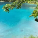 九寨沟景区 - 阿坝藏族羌族自治州旅游 缩略图 3