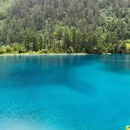 九寨沟景区 - 阿坝藏族羌族自治州旅游 缩略图 8