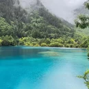 九寨沟景区 - 阿坝藏族羌族自治州旅游 缩略图 6