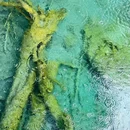九寨沟景区 - 阿坝藏族羌族自治州旅游 缩略图 7