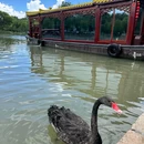 瘦西湖-白塔 - 扬州市旅游 缩略图 9