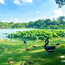 瘦西湖-白塔 - 扬州市旅游 缩略图 3
