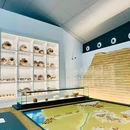 苏州考古博物馆 - 苏州旅游 缩略图 7