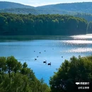念湖 - 曲靖市旅游 缩略图 1