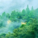清漾村 - 衢州市旅游 缩略图 6