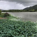 长广溪国家城市湿地公园 - 无锡市旅游 缩略图 5