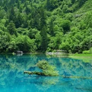 九寨沟景区 - 阿坝藏族羌族自治州旅游 缩略图 5