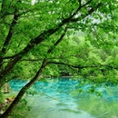 九寨沟景区 - 阿坝藏族羌族自治州旅游 缩略图 4