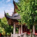 盐官主唱音乐度假酒店 - 嘉兴市旅游 缩略图 9