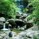 大奇山国家森林公园 - 杭州市旅游 缩略图 4