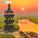 李中水上森林公园 - 泰州市旅游 缩略图 4