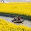 李中水上森林公园 - 泰州市旅游 缩略图 2