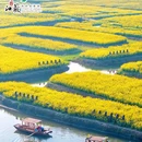 李中水上森林公园 - 泰州市旅游 缩略图 1